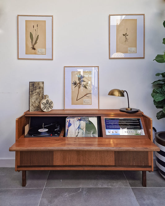 Vintage 1950s Swedish Herbarium Botanical Specimens (Oak Framed)