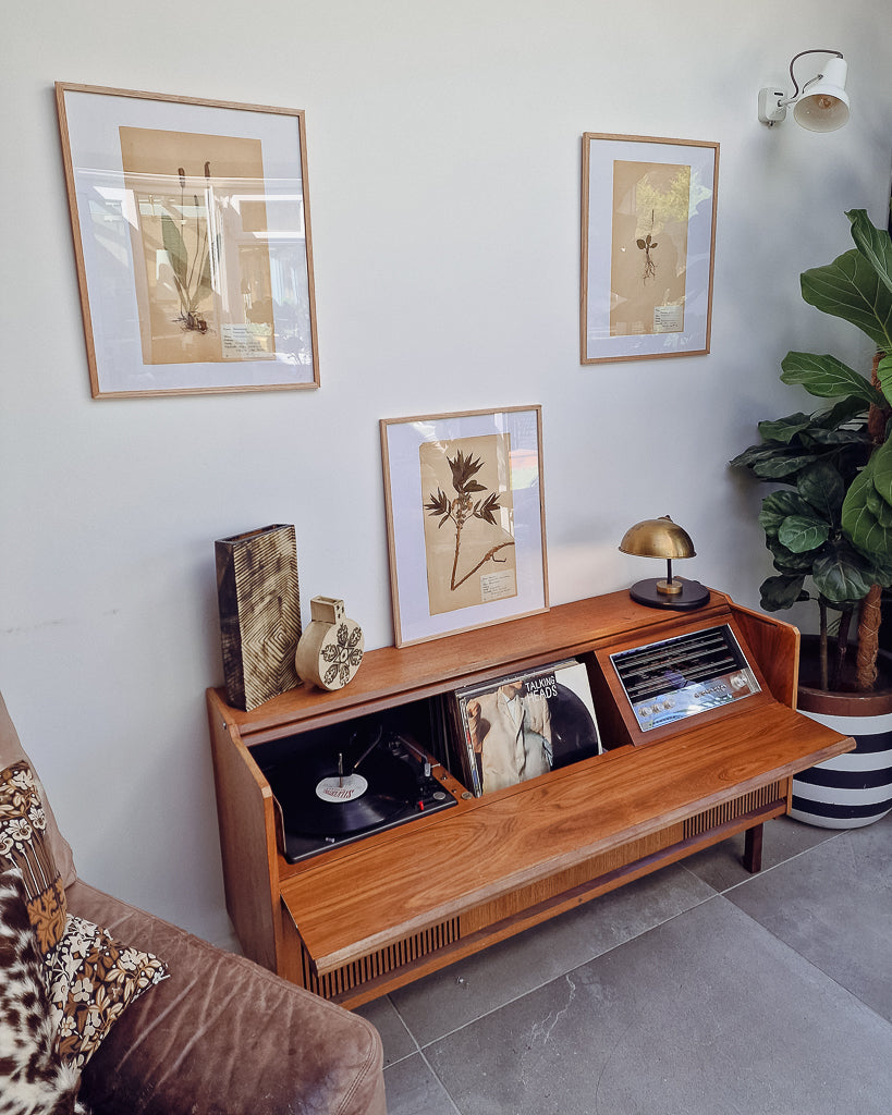 Vintage 1950s Swedish Herbarium Botanical Specimens (Oak Framed)