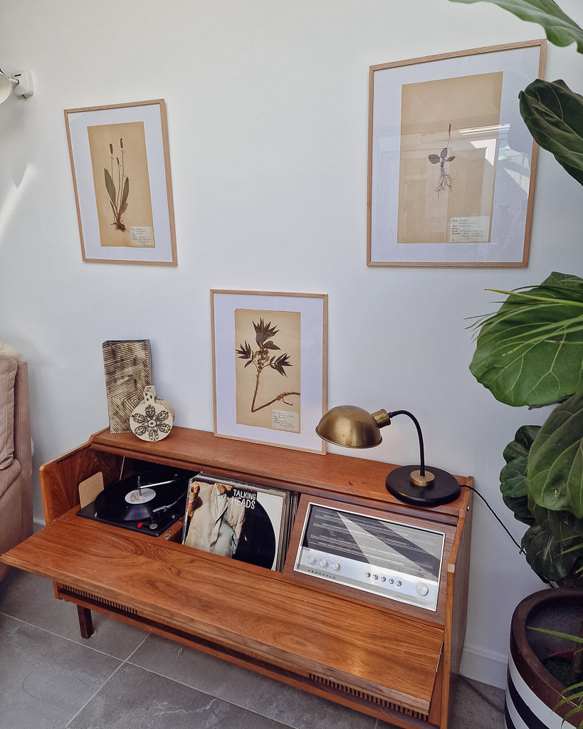 Vintage 1950s Swedish Herbarium Botanical Specimens (Oak Framed)