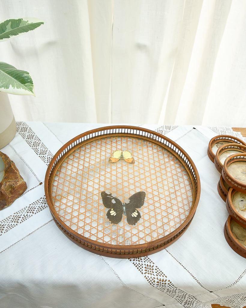 Mid Century Bamboo, Rattan & Glass Butterflies Tray & Coasters