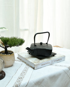 Black teapot on a white book with a plant and decorative items on a table.