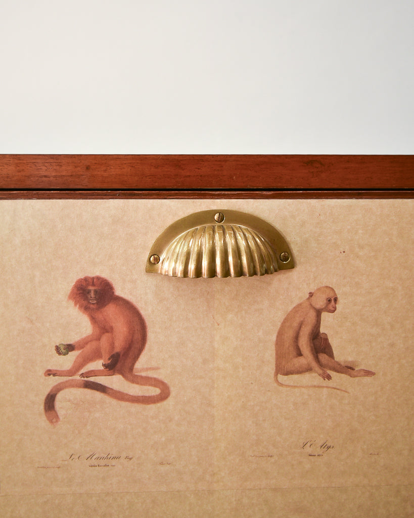 Mid Century Mahogany & Vintage Monkey Prints Cocktail Cabinet