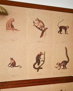 Mid Century Mahogany & Vintage Monkey Prints Cocktail Cabinet