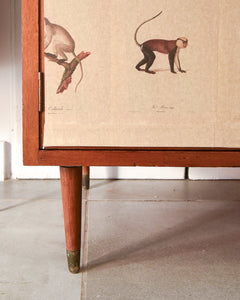 Mid Century Mahogany & Vintage Monkey Prints Cocktail Cabinet
