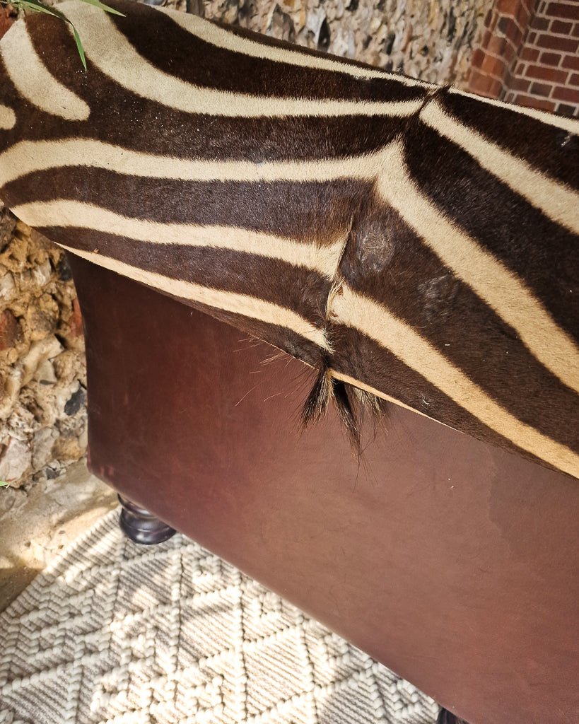 Vintage Zebra Hide Chaise Lounge Sofa