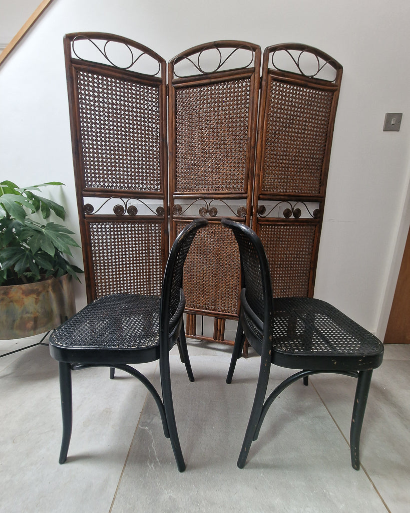 Josef Hoffman Thonet Chairs (Set of Four)