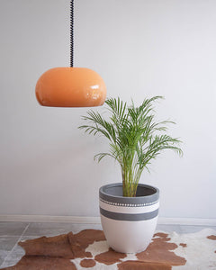 Retro Rise & Fall Ceiling Light
