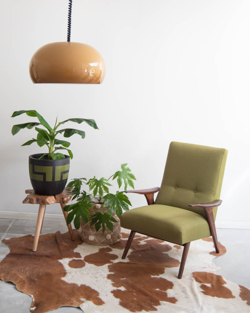 Retro Rise & Fall Ceiling Light