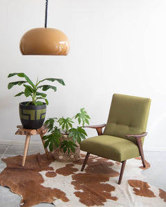 Retro Rise & Fall Ceiling Light