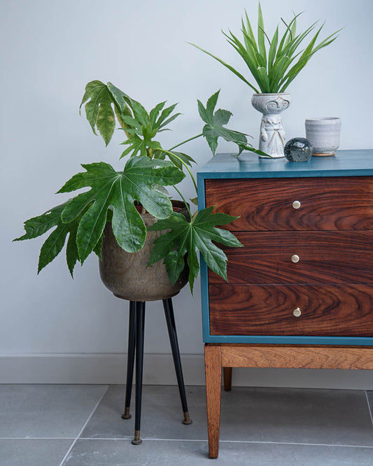 Mid Century Teal Blue, Rosewood & Teak Drawers