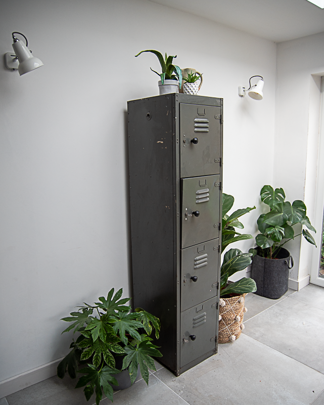 Industrial Vintage Metal Locker