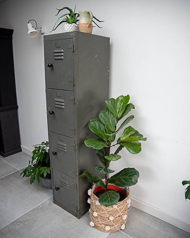 Industrial Vintage Metal Locker