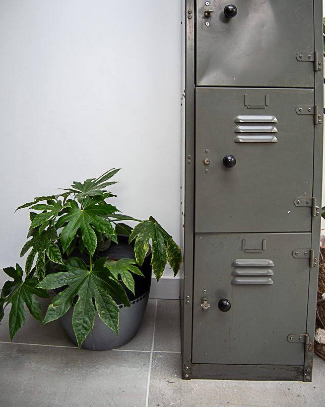 Industrial Vintage Metal Locker