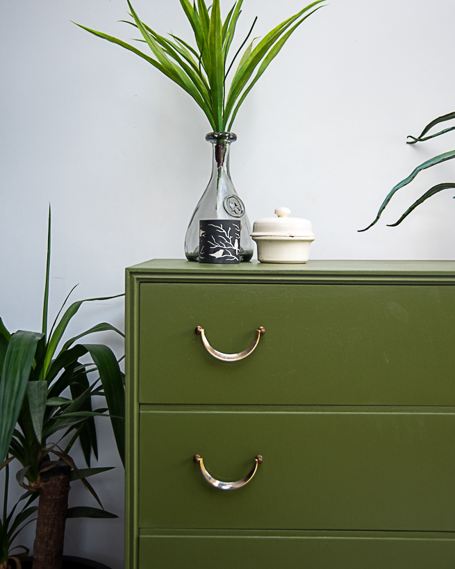 Mid Century Chest of Drawers (Wild Cactus)