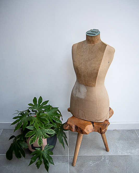 Shop Mannequin Dummy