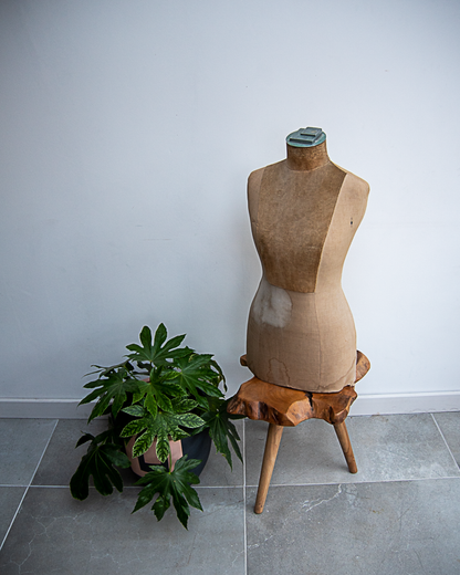 Shop Mannequin Dummy