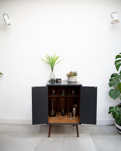 Mid Century Small LP Record / Cocktail Cabinet