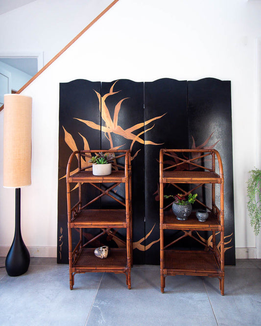 Bamboo Display Shelves / Bookcase (Pair)