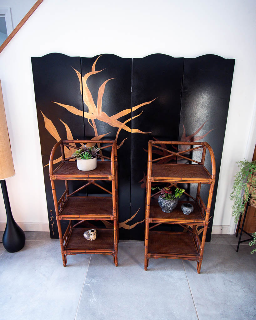 Bamboo Display Shelves / Bookcase (Pair)