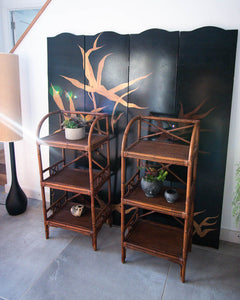 Bamboo Display Shelves / Bookcase (Pair)