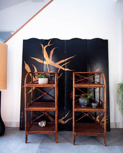 Bamboo Display Shelves / Bookcase (Pair)