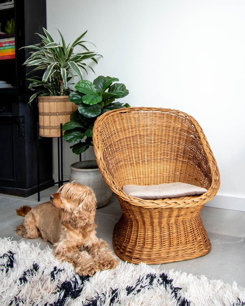 Mid Century Habitat Wicker Barrel Armchairs (Pair)