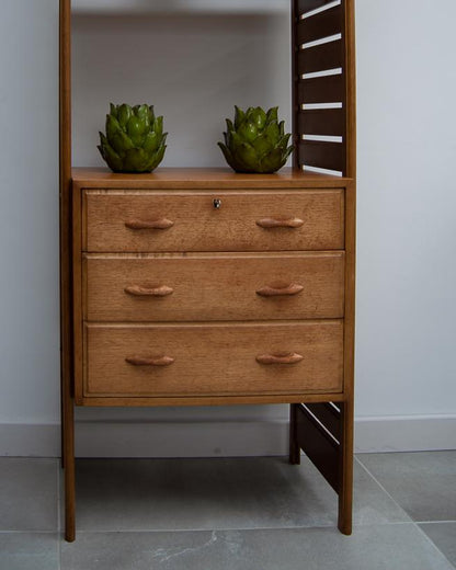 Mid Century Ladderax Teak Bookcase