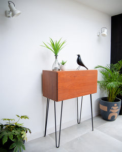 apley Mid Century Desk / Cocktail Cabinet